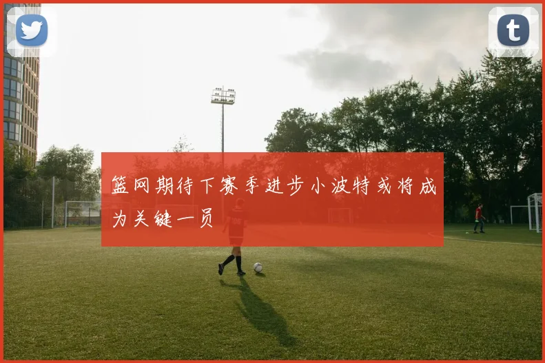 篮网期待下赛季进步小波特或将成为关键一员