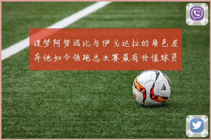 追梦阿努诺比与伊戈达拉的角色差异他如今领跑总决赛最有价值球员