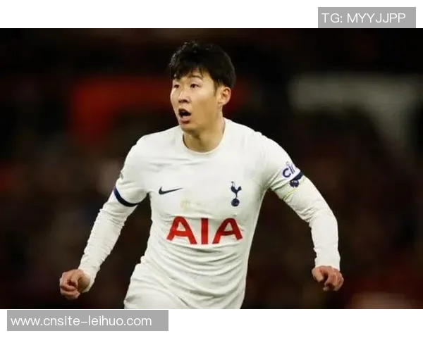 热刺冬窗目标弗拉霍维奇与大马丁塞梅尼奥或成孙兴慜替代者